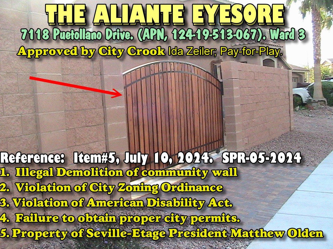 Lawyer Elizabeth OLSON