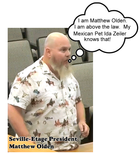 Lawyer Elizabeth OLSON